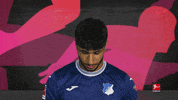 Tsg Hoffenheim Football GIF by Bundesliga