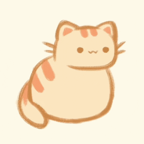 Cin_cook cat car orange silly GIF