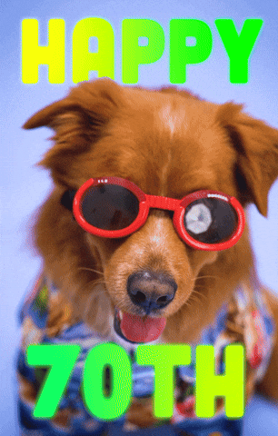 You Are Old Happy Birthday GIF by Sealed With A GIF