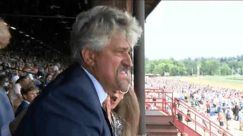 Horse Racing Cheering GIF by The NYRA