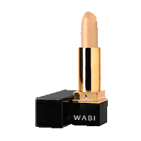 Matte Lipstick Sticker by WABI Beauty