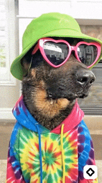 Mood Feels GIF by Darwin