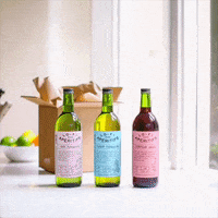 Vibes Fall GIF by Lo-Fi Aperitifs