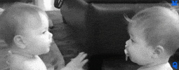 germs pacifier GIF
