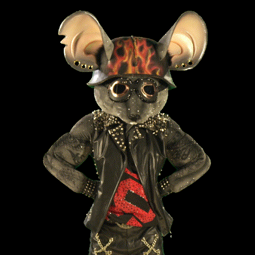 The Masked Singer No GIF by RTL