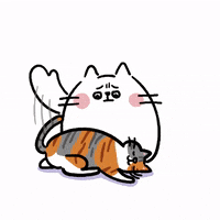 tameowder cat kitty meow pat GIF