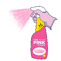 Pink Power Sticker by The Pink Stuff USA