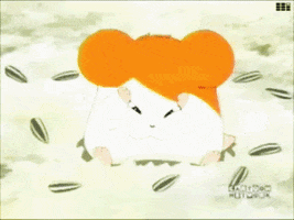 hamster GIF