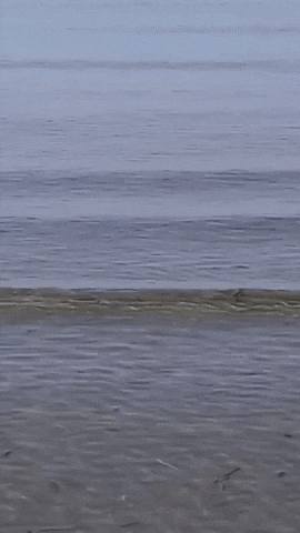 Simongip giphyupload GIF