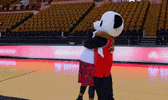 cmt GIF by The Dude Perfect Show