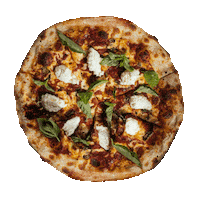 frankspizzaandbar franks frankspizzaandbar franks pizza franks pizza and bar Sticker