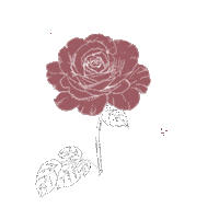 Rose Sticker by HijabChic