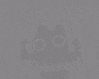 Cat Cinema GIF
