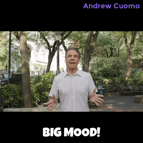 New York Vote GIF by Andrew Cuomo