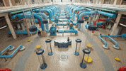 Odd Squad GIF by Sinking Ship Entertainment