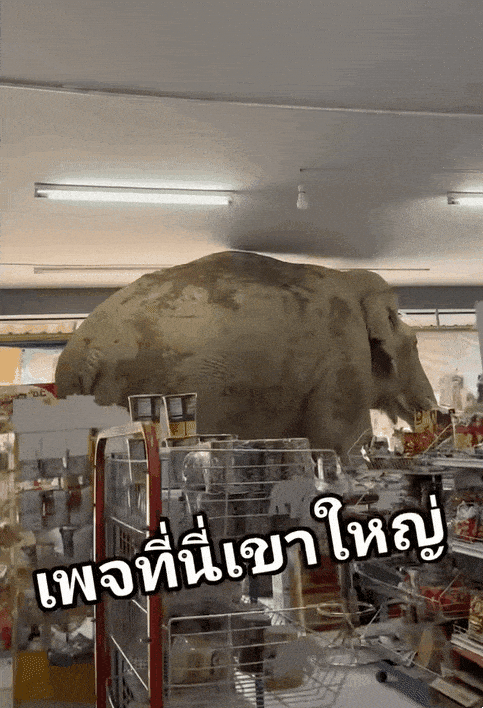 引用:バンコク・ポスト