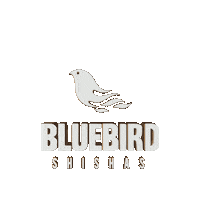shishas shisha visual3d bluebird shishas Sticker