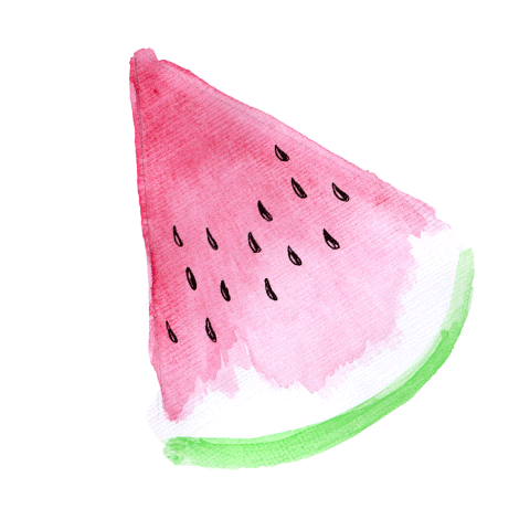 Fruit Watermelon Sticker