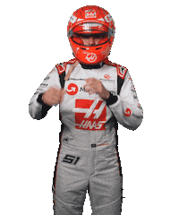 Formula 1 Fittipaldi Sticker by Haas F1 Team