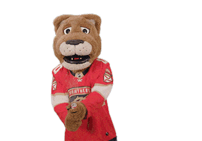 Happy Ice Hockey Sticker by NHL