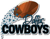 stars dallas STICKER