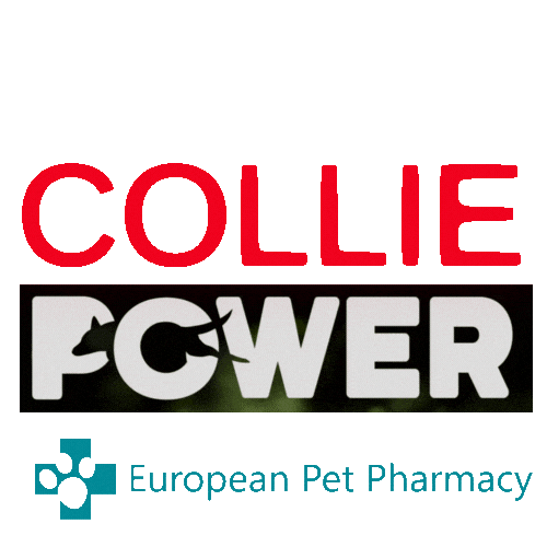 Border Co Sticker by Europeanpetpharmacy