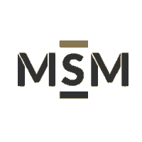 Logo Logomsm Sticker by MSM Digital