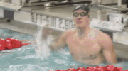 GIF by Michigan Athletics
