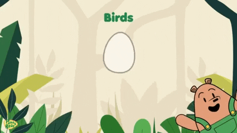 Happy Bird GIF