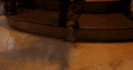 Celebration GIF by Johnny Cocoa