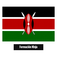 Kenya Flag Sticker by Formación Ninja