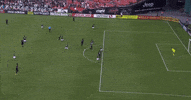soccer mls GIF by D.C. United