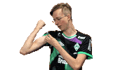 Fifa Ea Sticker by SV Werder Bremen