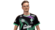 Fifa Ea Sticker by SV Werder Bremen