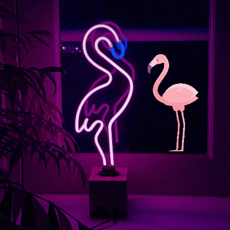 smithers1969 giphyupload light neon flamingo GIF