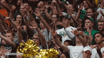 csu rams fans GIF by Colorado State Rams
