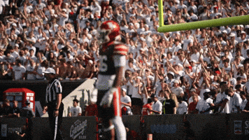 Cincinnati Football Ruckus GIF by Cincinnati Bearcats