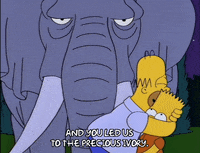 homer simpson GIF