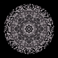 Art Animation GIF by roberthruska