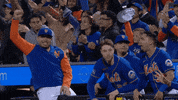 Happy Ny Mets GIF by New York Mets