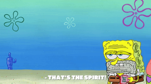 season 9 GIF by SpongeBob SquarePants