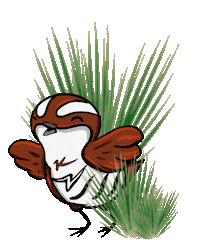 Guam Koko Sticker by King and Rail