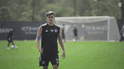 New York City Fc Peace GIF by NYCFC