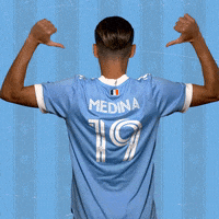 Major League Soccer Reaction GIF by NYCFC