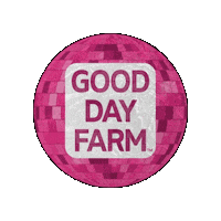 Disco Ball Sticker by Good Day Farm