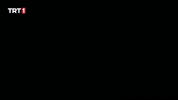 Wolf Kurt GIF by TRT