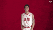 Celebration Dunks GIF by Elan Chalon