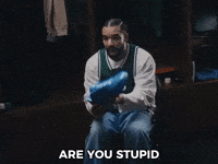 Are You Dumb Which One GIF