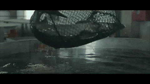 RealCaviarBarcelona giphyupload GIF