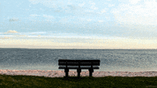beach waves GIF by Living Stills